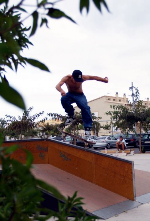 Pelayo shovit 5050