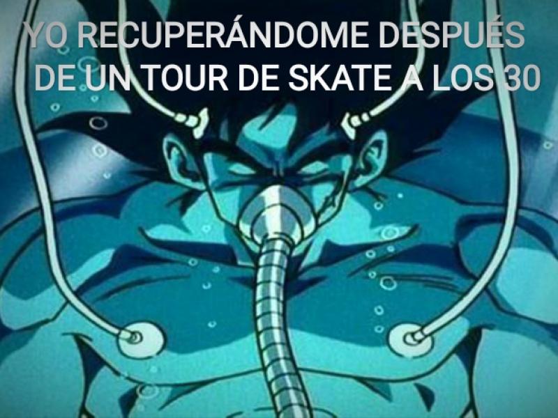 skate meme goku en la cápsula skate meme goku en la cápsula