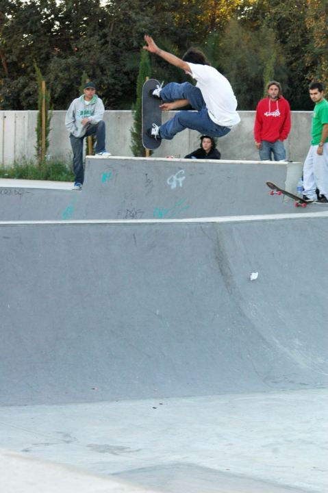 Fs stalefish, Martín Battello, Son Caliu Skatepark