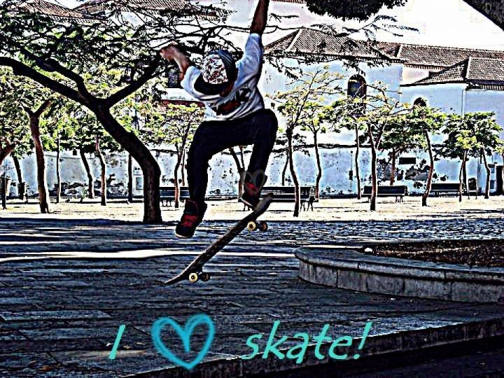 Skate con algunos colegas 1