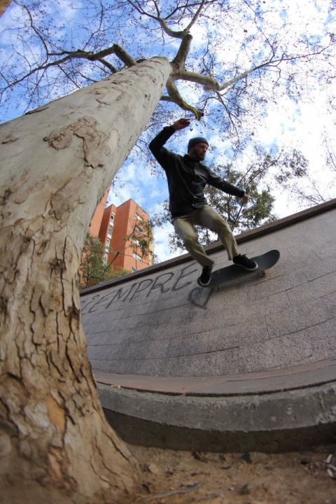 James bs carve over tree
