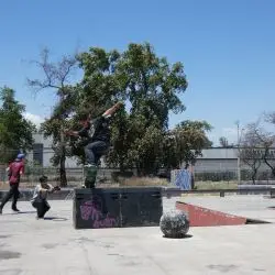 Claudio Piña Diaz