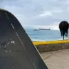 Matias Fernandez