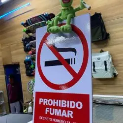Justin Moreira