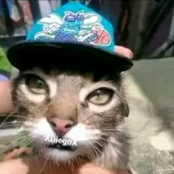 Diegooo_24 Delgado_4